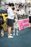 /album/fotogaleria/dsf8794-jpg/