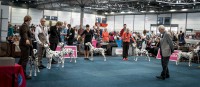 /album/fotogaleria/dsf9063-jpg/
