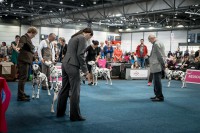 /album/fotogaleria/dsf9076-jpg/