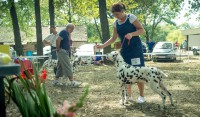 /album/fotogaleria/a20170818-dsf1810-jpg/