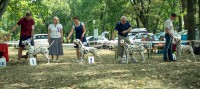 /album/fotogaleria/a20170818-dsf1827-jpg/
