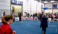 /album/fotogaleria/dsf2847-jpg/