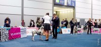 /album/fotogaleria/dsf2881-jpg/