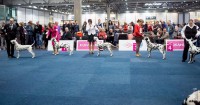 /album/fotogaleria/dsf2895-jpg/