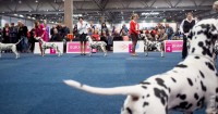 /album/fotogaleria/dsf2897-jpg/