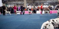 /album/fotogaleria/dsf2899-jpg/