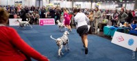 /album/fotogaleria/dsf2903-jpg/